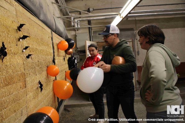 Nouveau dossier/IMG_1892.jpeg