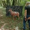 PARCOURS SAFARI ROCHE PREMARIE JUIN 26/facebook_1781619382015_7472653300599390382.jpg