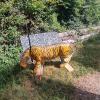 PARCOURS SAFARI ROCHE PREMARIE JUIN 26/facebook_1781619416853_7472653446584808657.jpg
