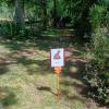 PARCOURS SAFARI ROCHE PREMARIE JUIN 26/facebook_1781619468662_7472653663888351596.jpg